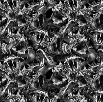 Wassertransferdruck Folie Cobra