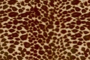 Wassertransferdruck Folie Leopardenlook (echt)